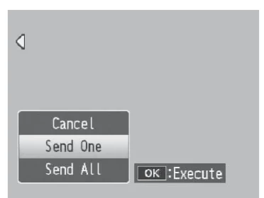 Ricoh G800SE Send One and Send All camera dialog